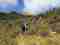 21tavs-bhutan-pics---druk-path