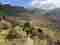 25tavs-bhutan-pics---druk-path